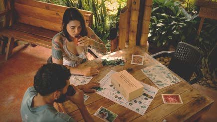 Experiencia y territorio